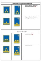 Kragenspiegel Landesleitung