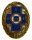 Ehrenzeichen Uniform Bronze