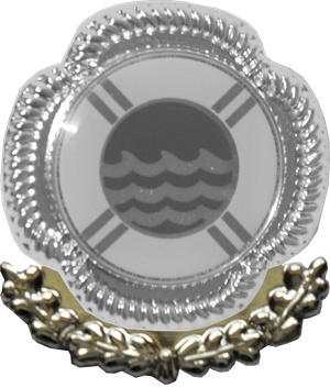 Eichenlaub Silber klein