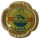 Lifesaver Pin